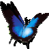 Tuniac 64 Bit